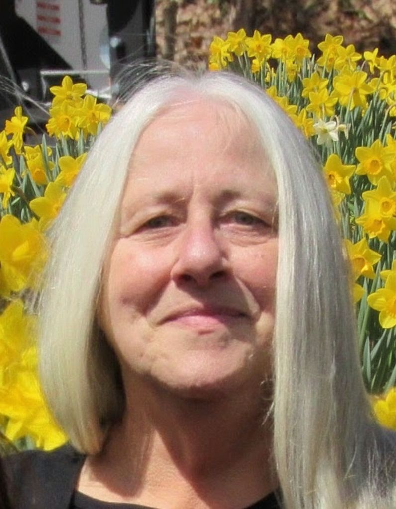 Susan Ann DeCatiff Profile Photo