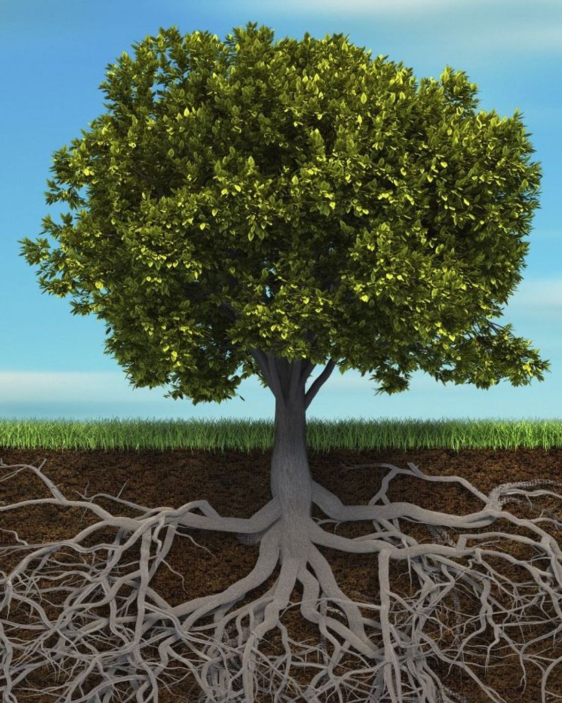 John Carroll Ferguson Profile Photo