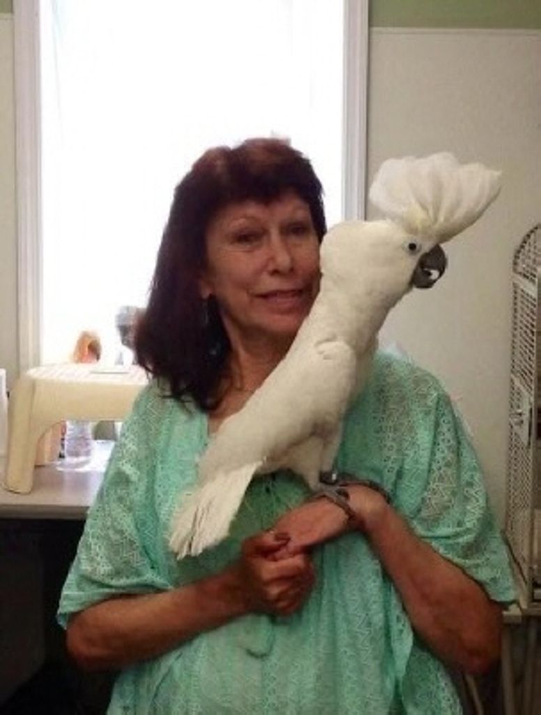 Sandra M. Owens Profile Photo