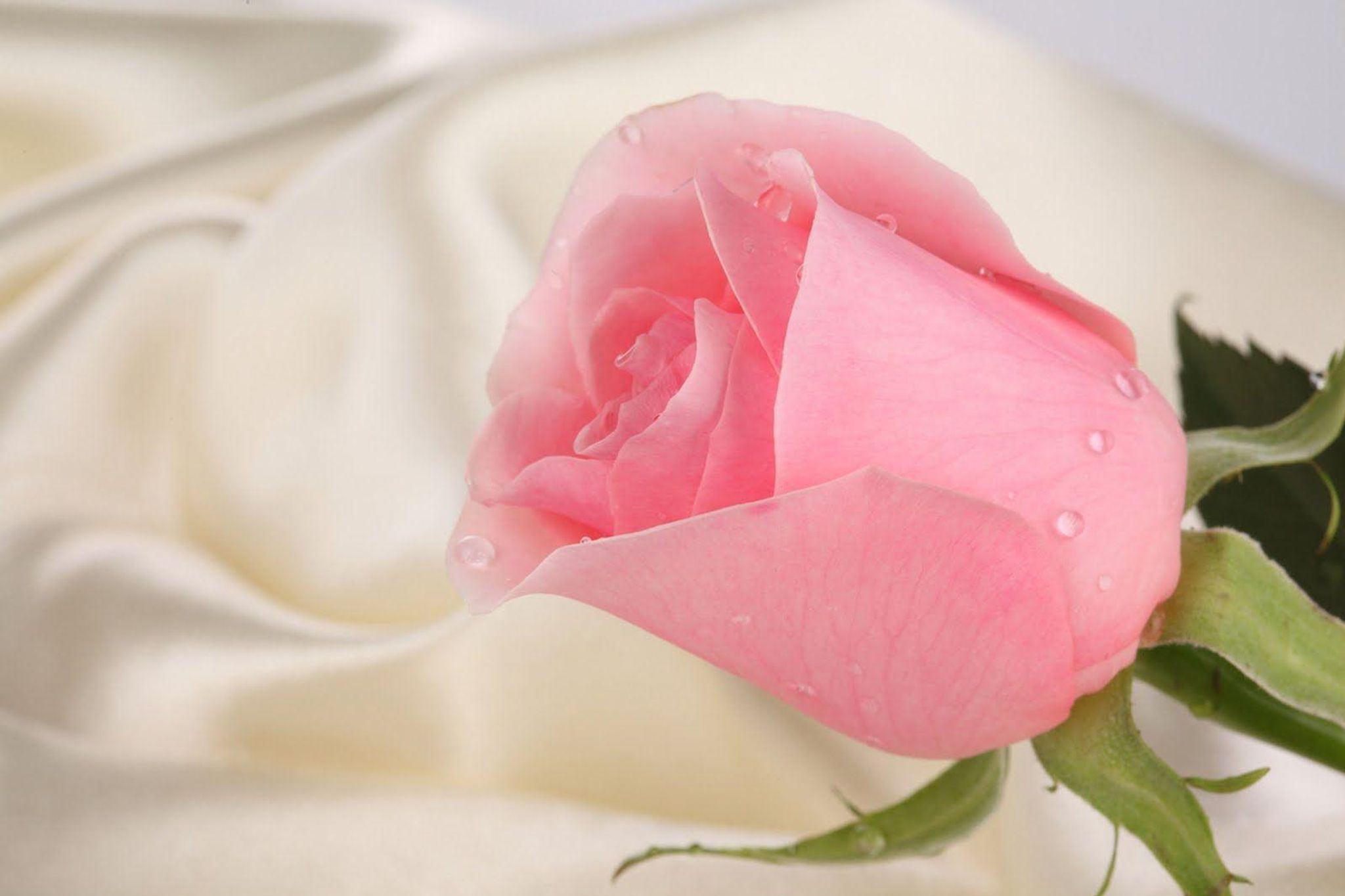 Cover for Evelyn K Moyer's Obituary