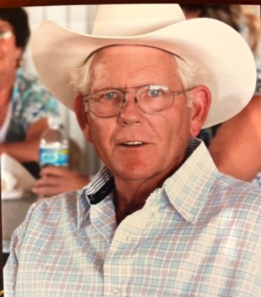 Jan Roden Profile Photo