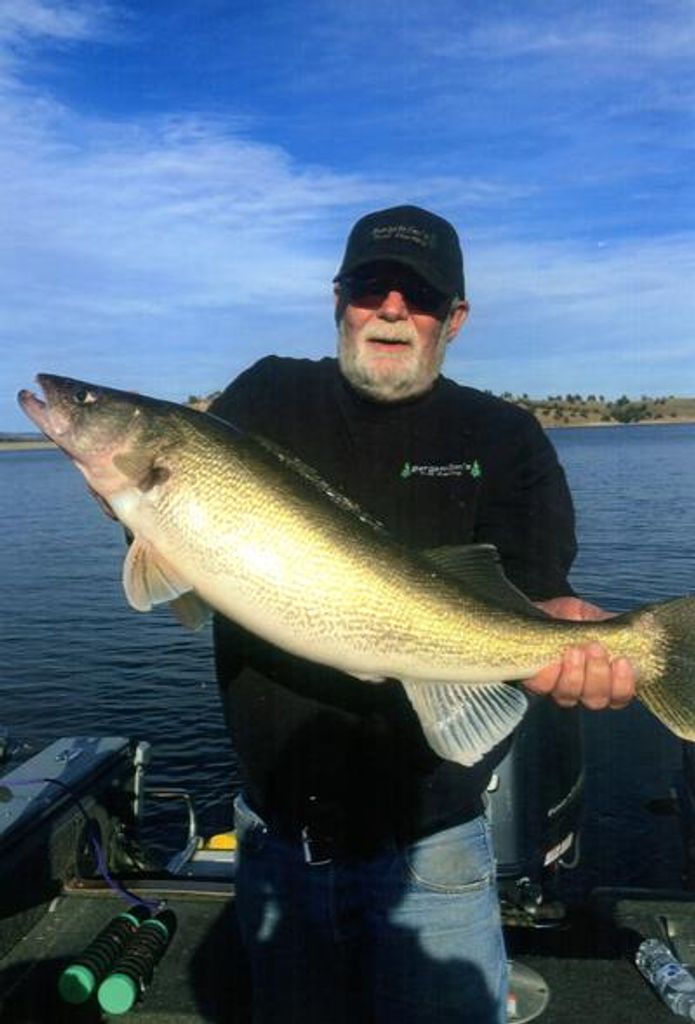 Lynn "Bergie" Ellis Bergstrom