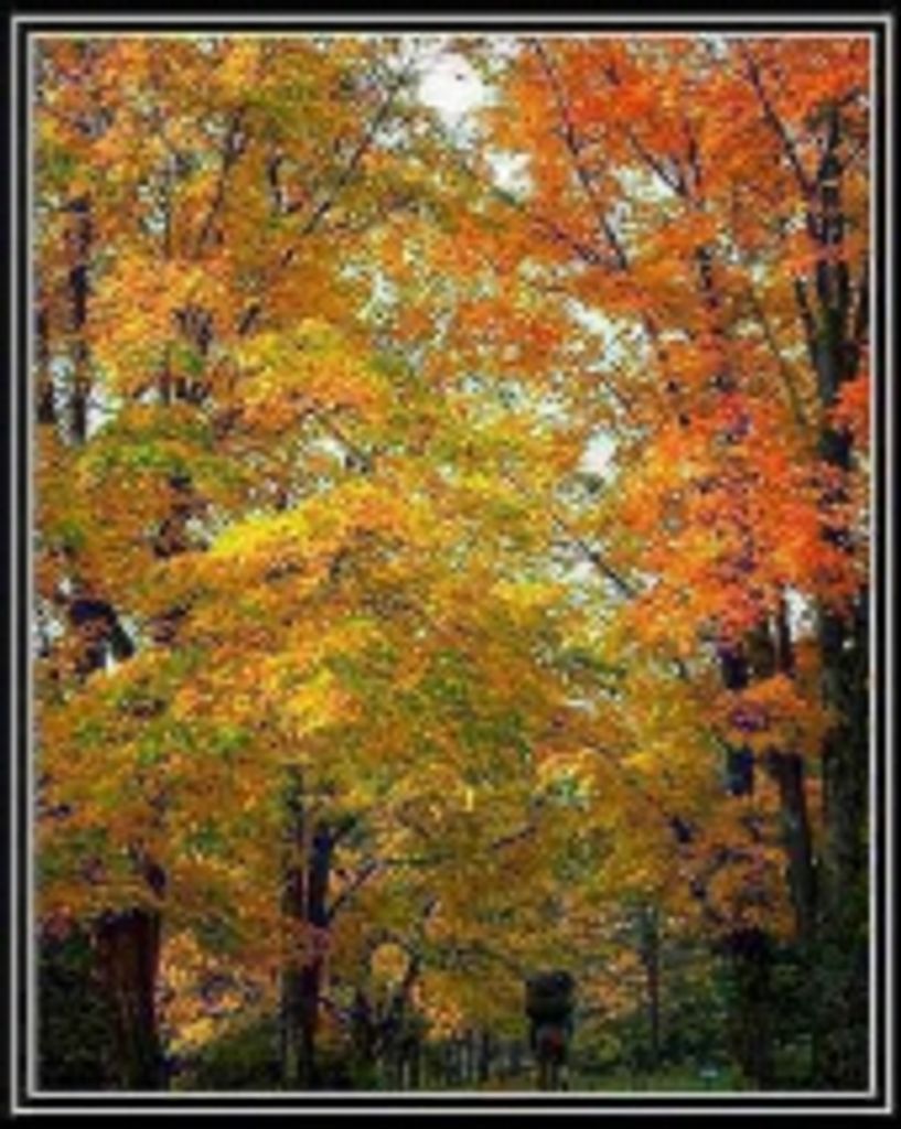 Richard  Sutton Rust