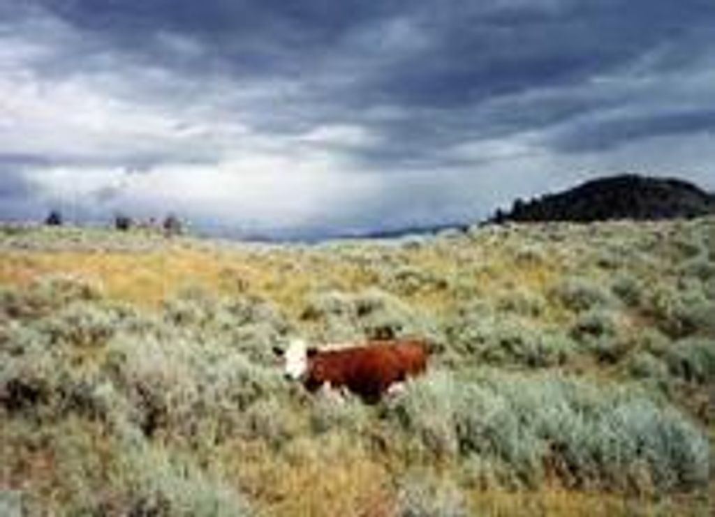 Walter Bailey Profile Photo