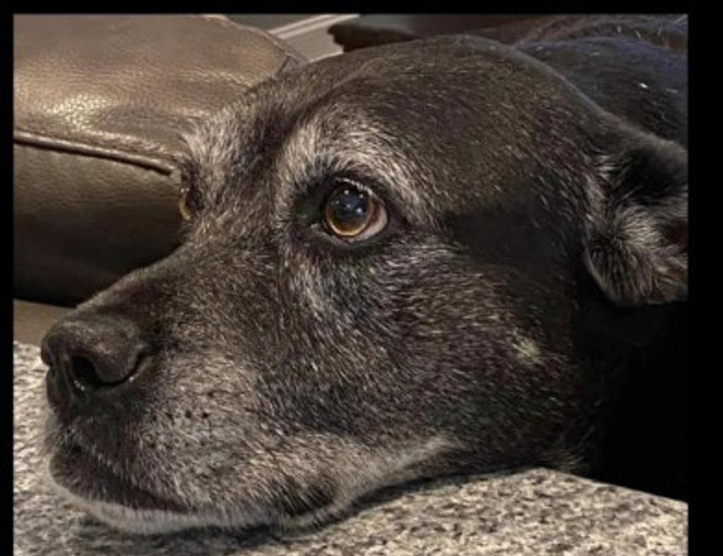 Bella Pope Profile Photo