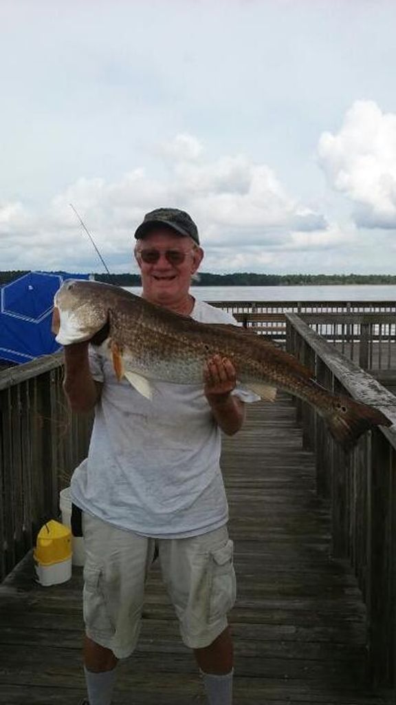 James Edward Johnston Profile Photo