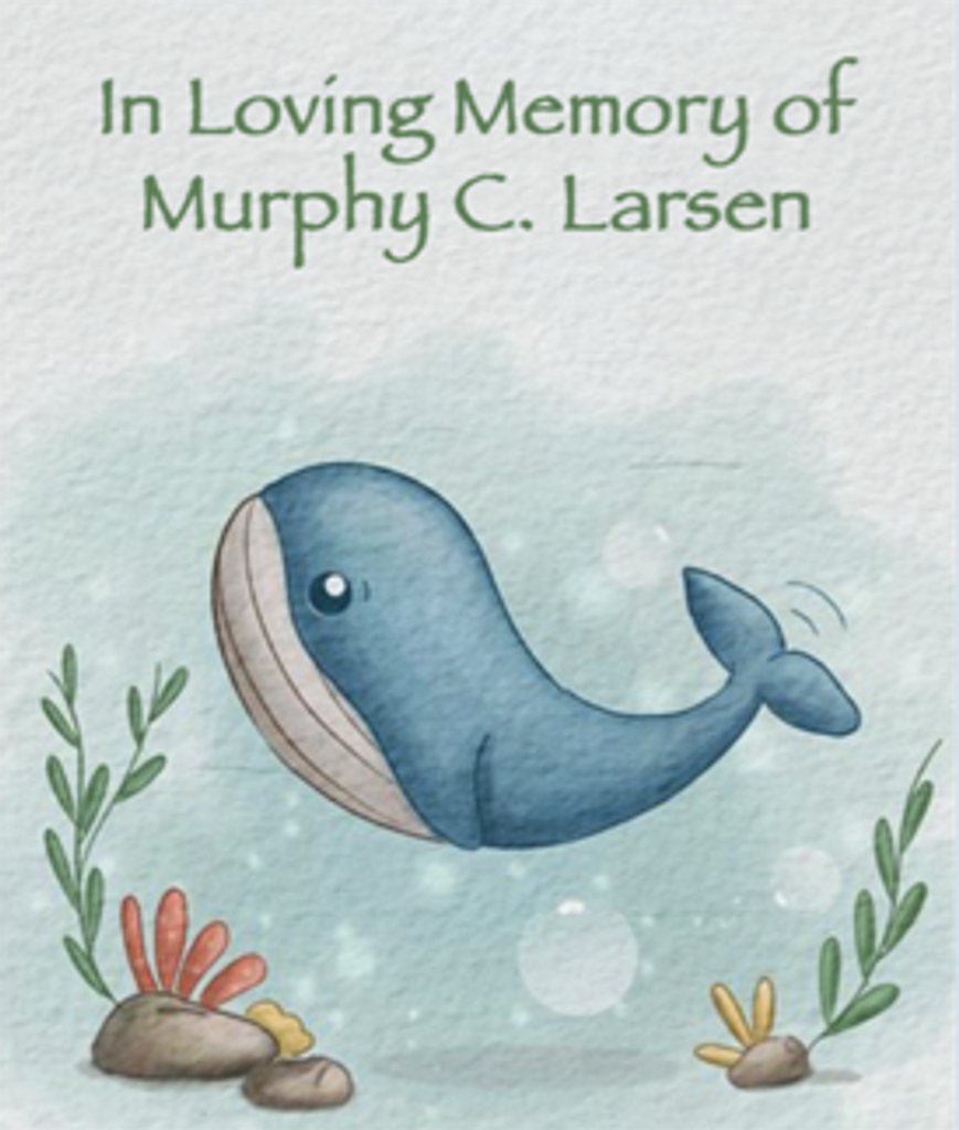 Murphy Conrad Larsen Profile Photo
