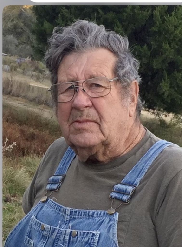 Doyce Dougan Profile Photo