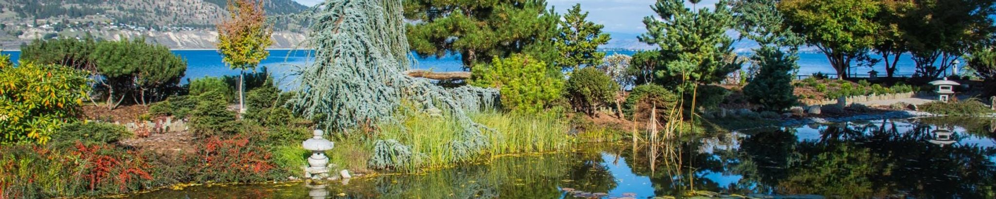 Cover for Bobby Brown's Obituary