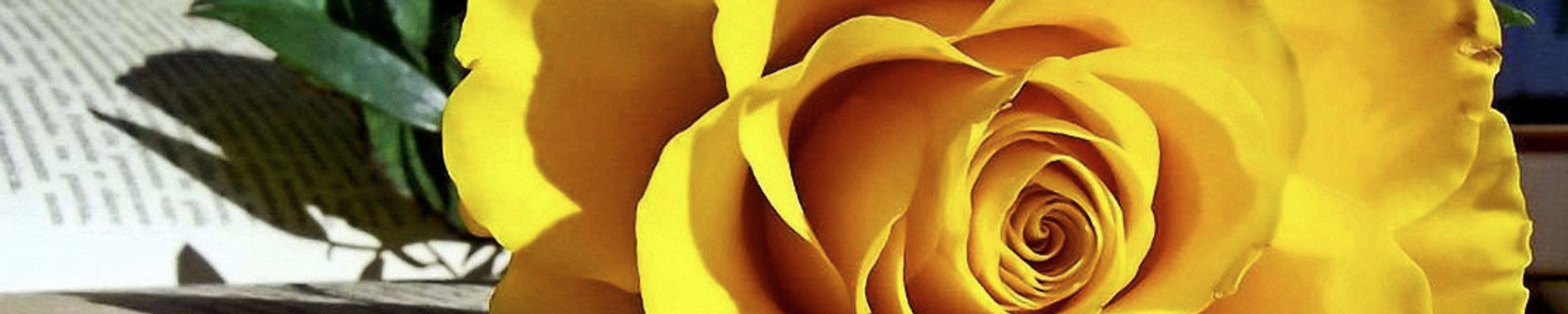 Cover for Helen Marie Clapp's Obituary