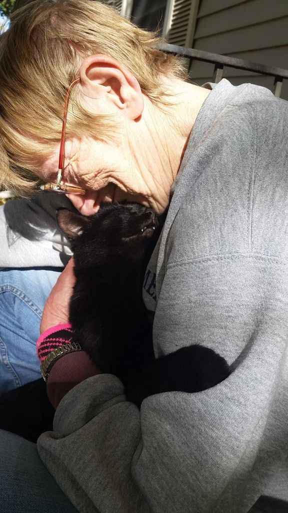 Cheryl Werstein Profile Photo