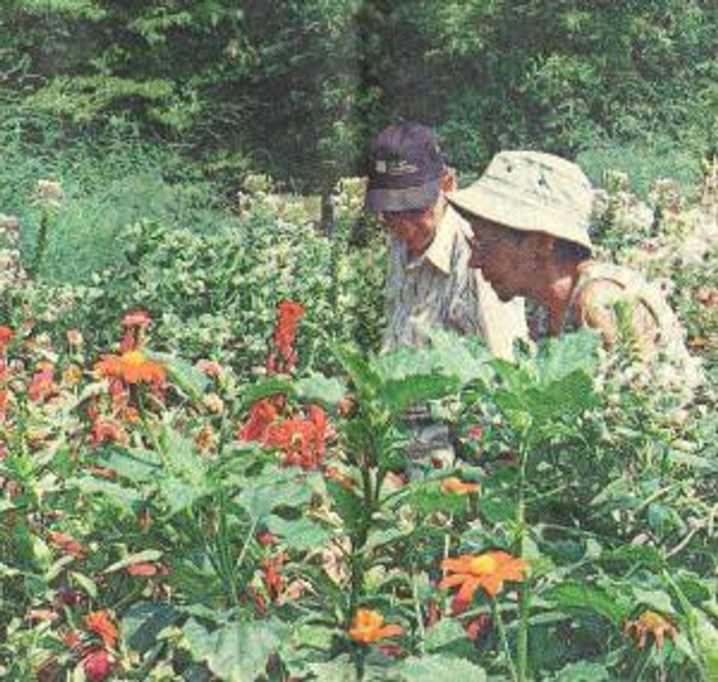 Norma "Teen" Clemons Robinette