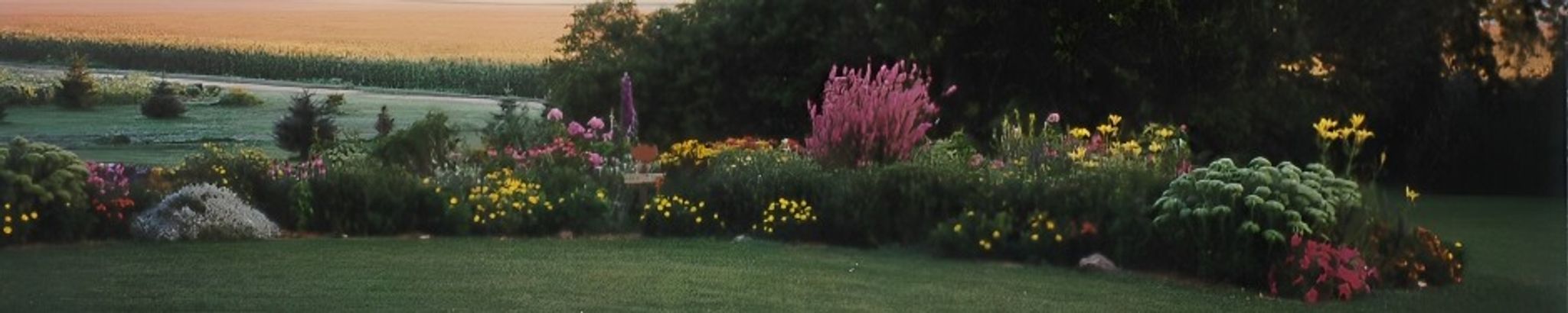 Cover for Shirley Harreld's Obituary