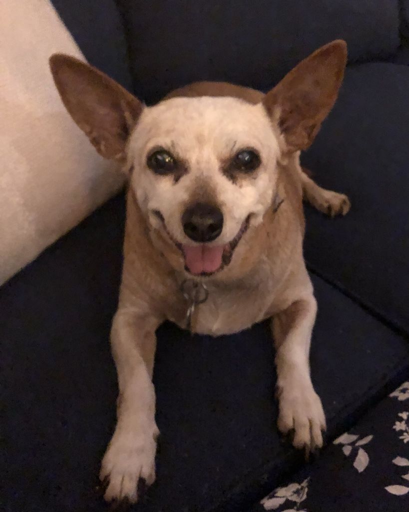 Malibu Barbie Woodworth