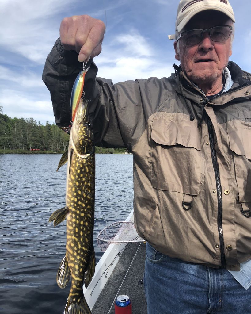 Thomas Lee Hood Profile Photo