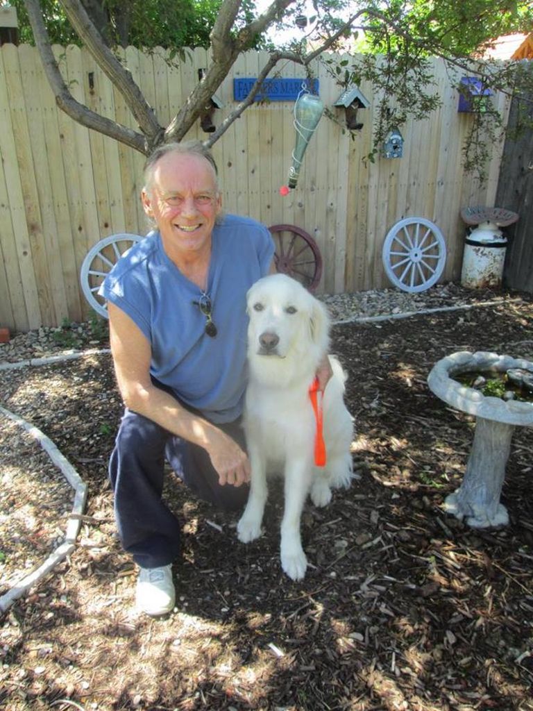 Terry Dale Shepperd