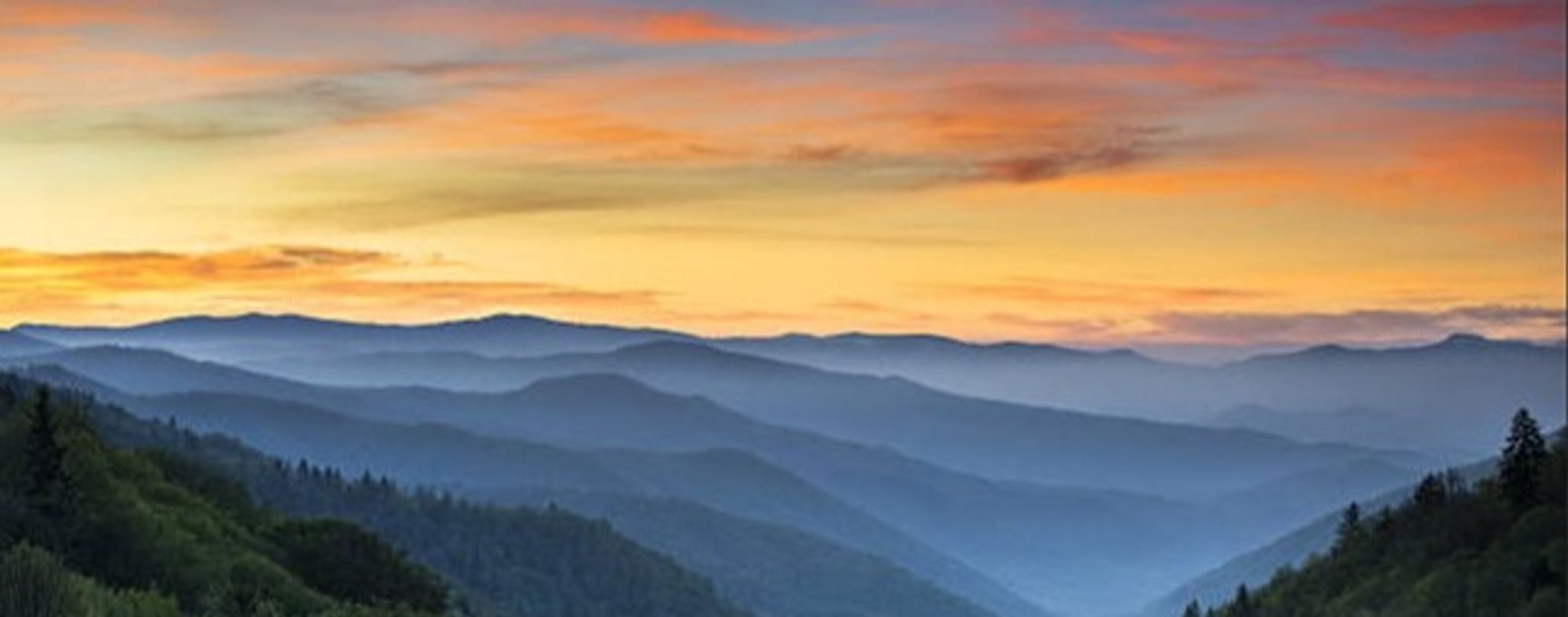 Cover photo for Betty Ann Webb Fields's Obituary