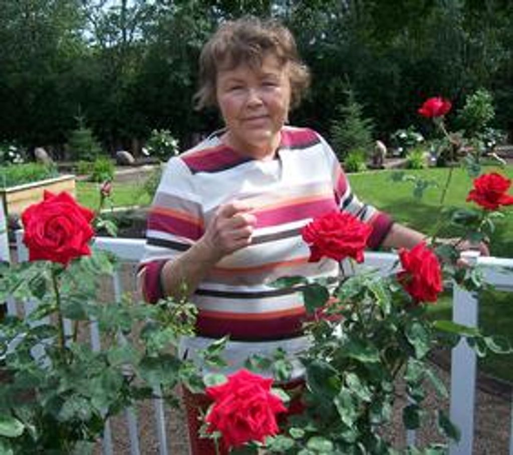 Beverley Rae Cormack Profile Photo