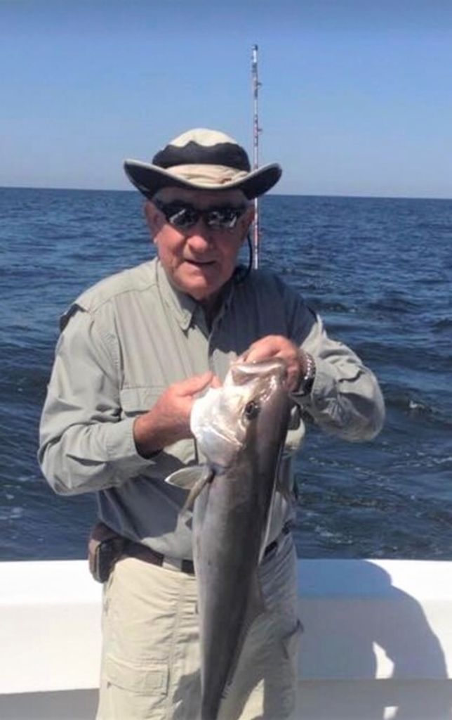 Travis Billy Hall Profile Photo