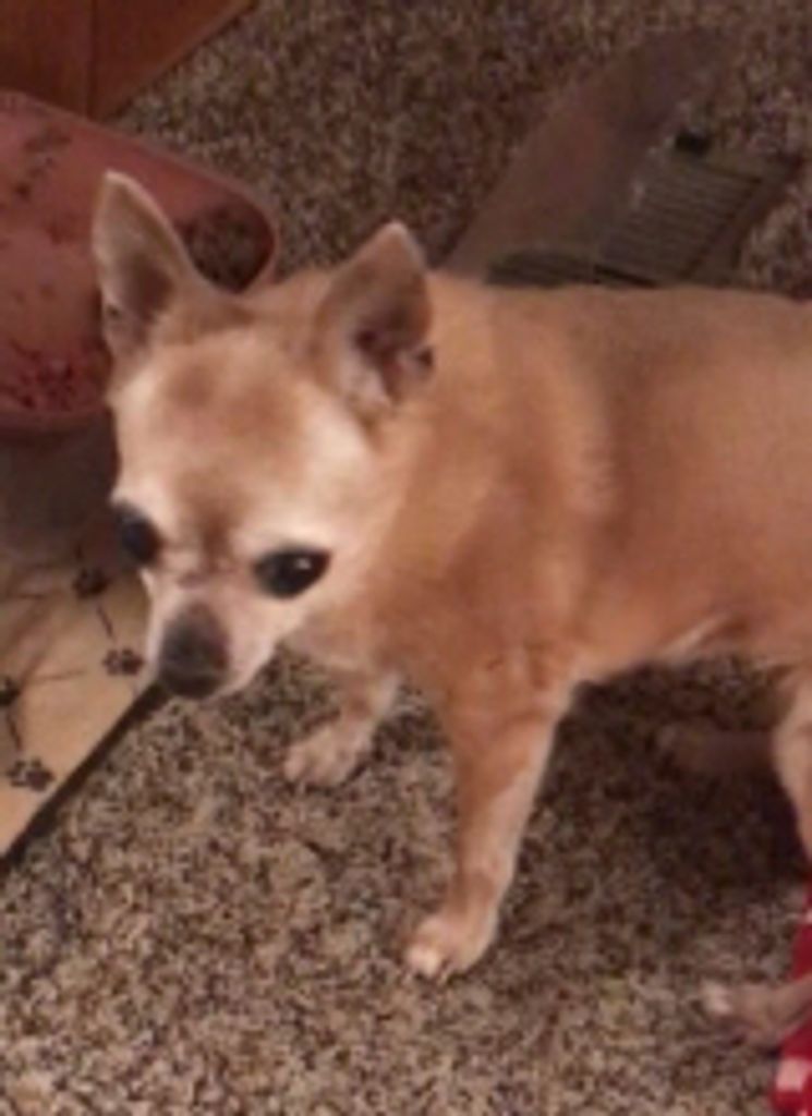 Bailey Keiser Profile Photo