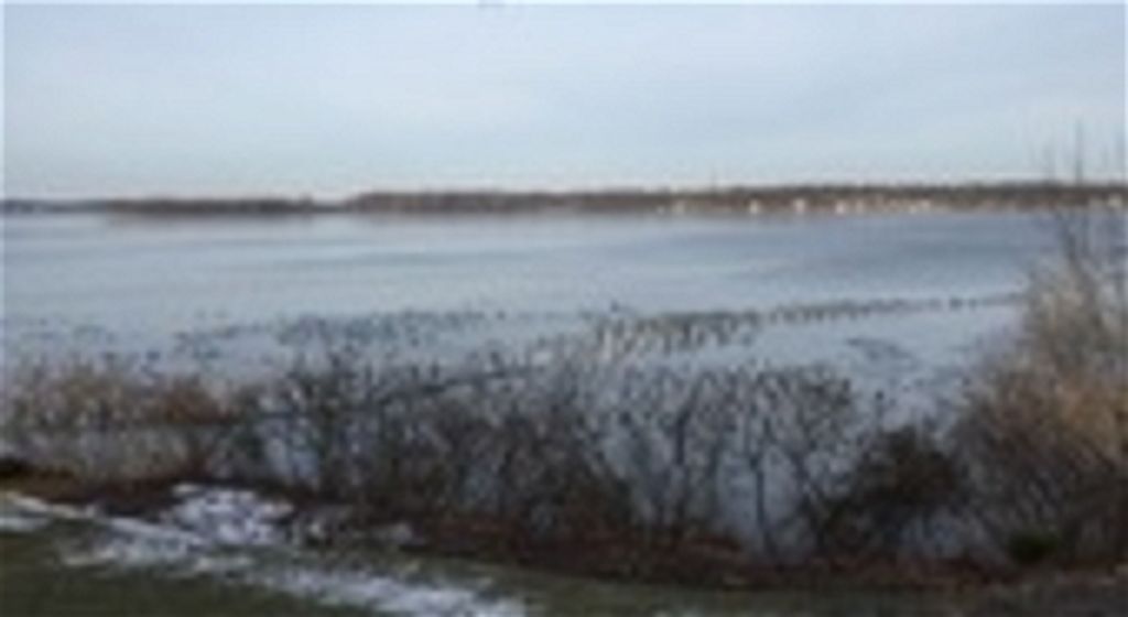 Steven Michael Carroll Profile Photo