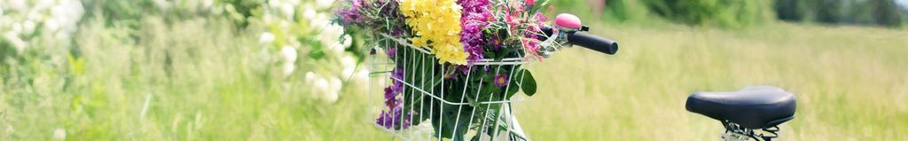 Cover photo for MaryEllen Tomporowski's Obituary