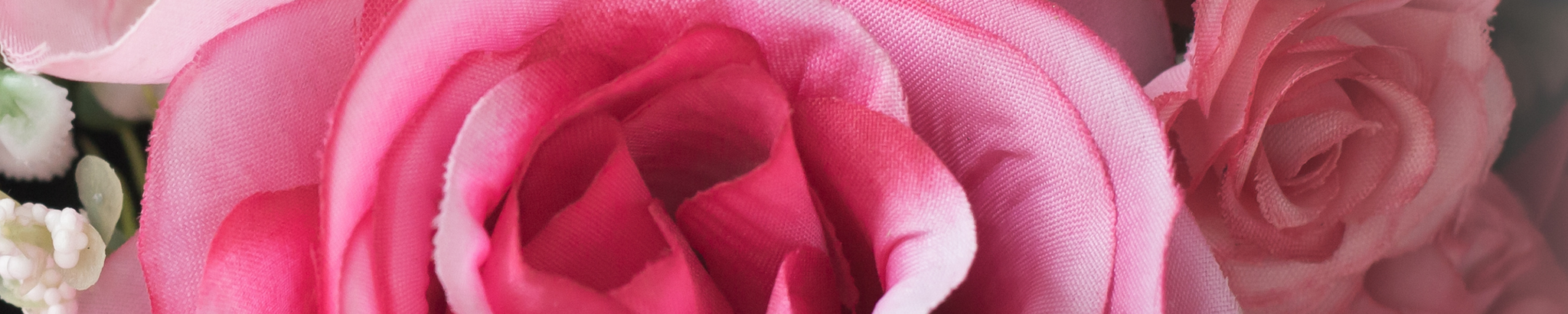 Cover photo for Tamara Small's Obituary