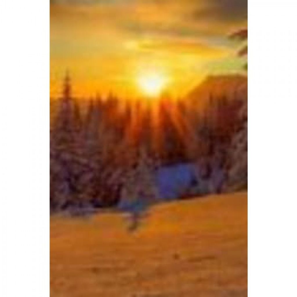 Lilly May Rineer Profile Photo