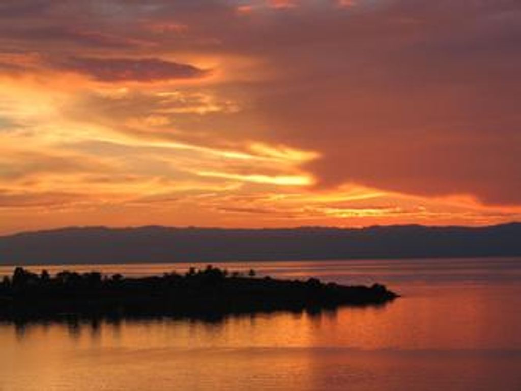 Edwena Kent Price Profile Photo