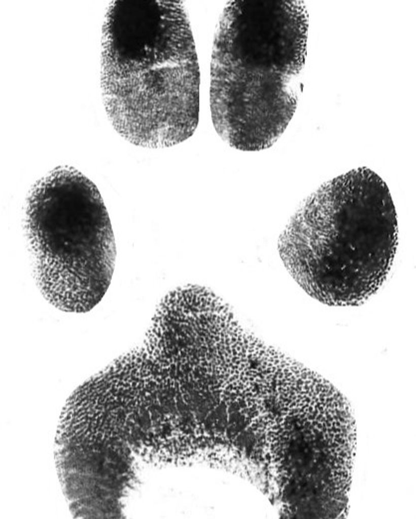 Colleen Raymond Profile Photo