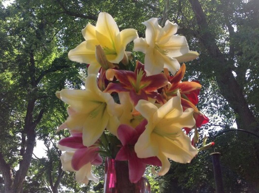 Frederick "Fred" C. Gloss Profile Photo