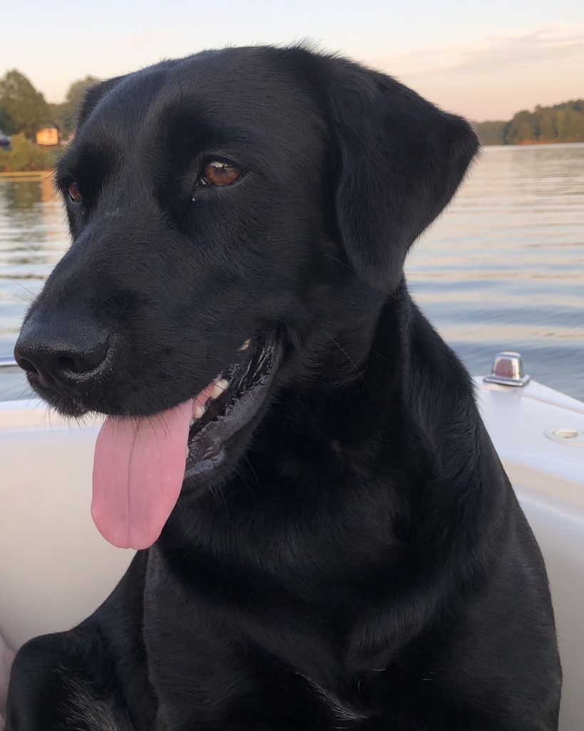 Mallie Ann White Profile Photo