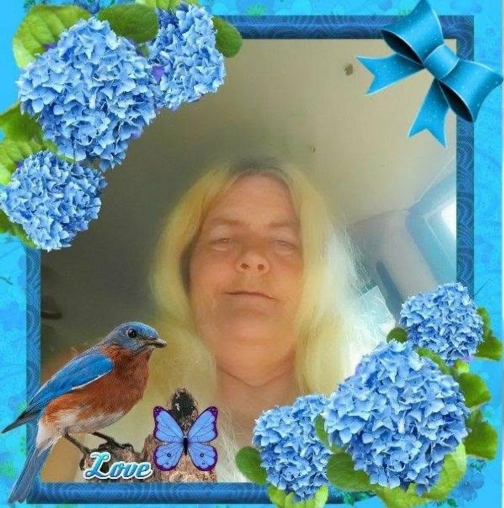 Katharn Ann Mills