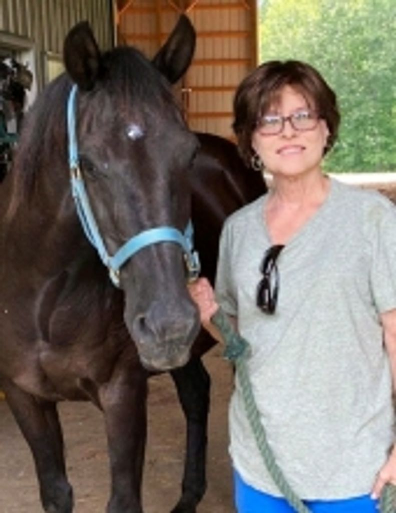 Paula  Jo Hamrick Profile Photo