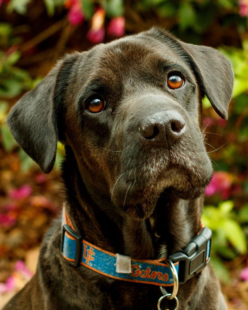Toby Renken Profile Photo