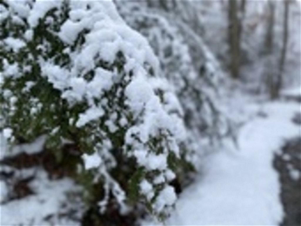 John Paul Espy Iii Profile Photo