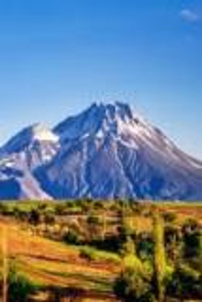 Raymond  Lewis Redfield Profile Photo