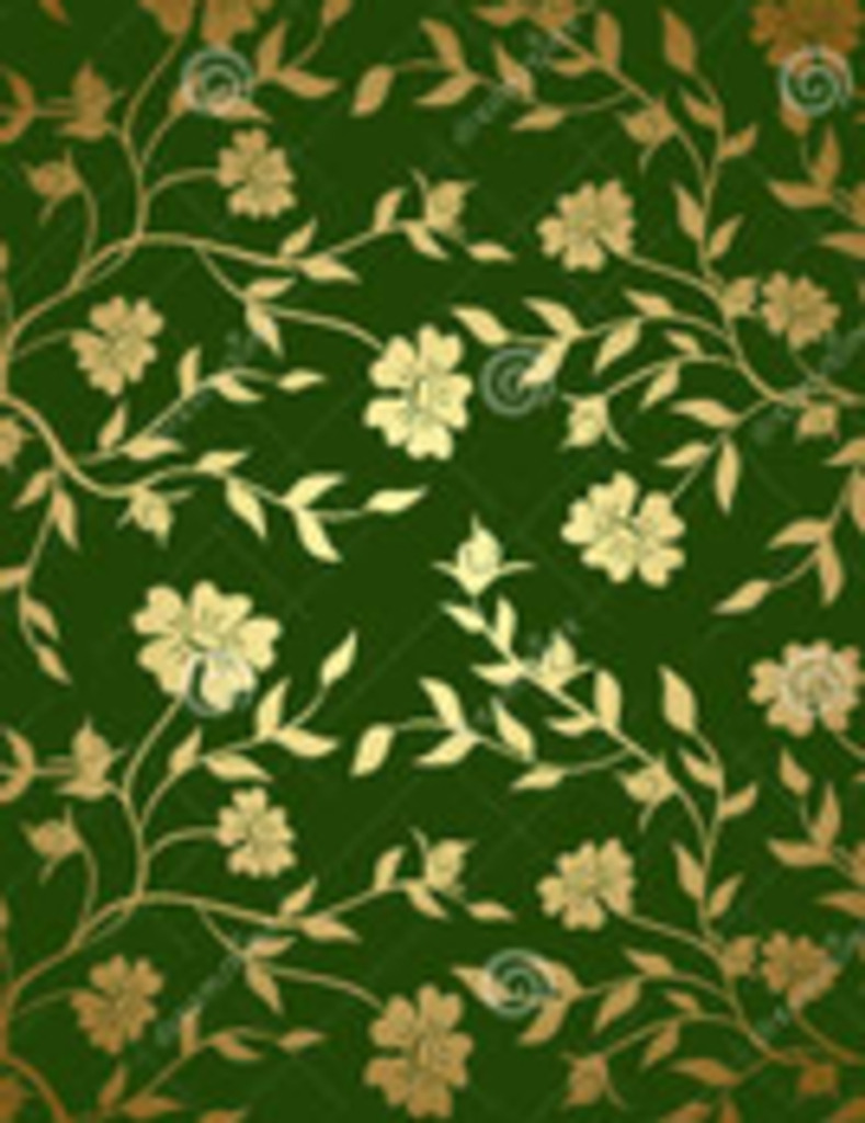 Delfino Navarrete Agueros