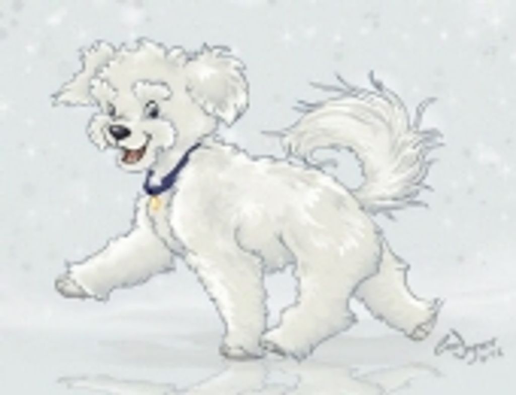 Thor Haggai Profile Photo