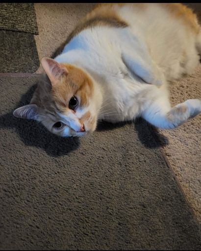 Ananda Watson's obituary image