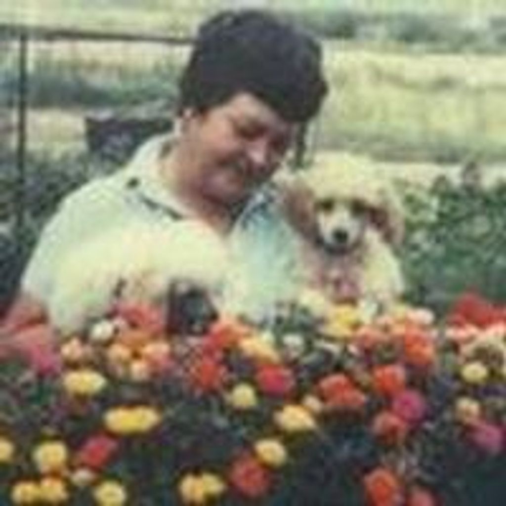 Dorothy Elizabeth Gustin