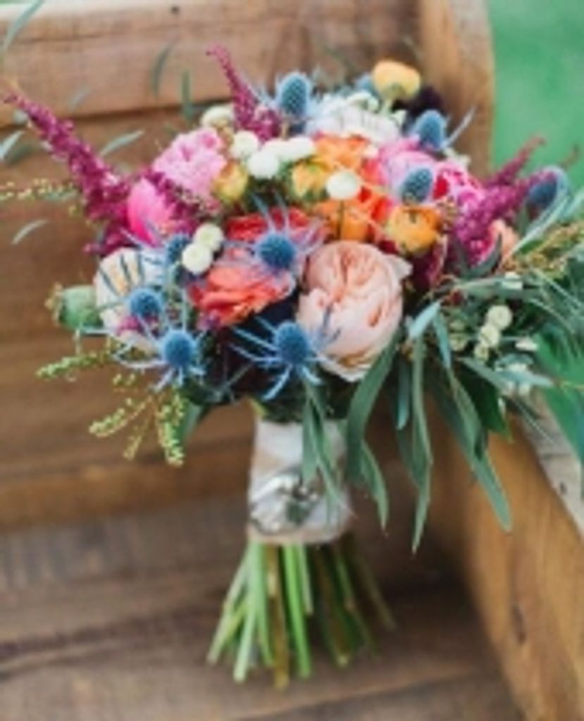 Judy Sarah Toews Profile Photo