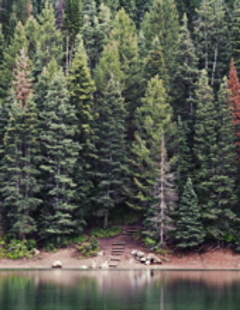 Douglas Donald Glover