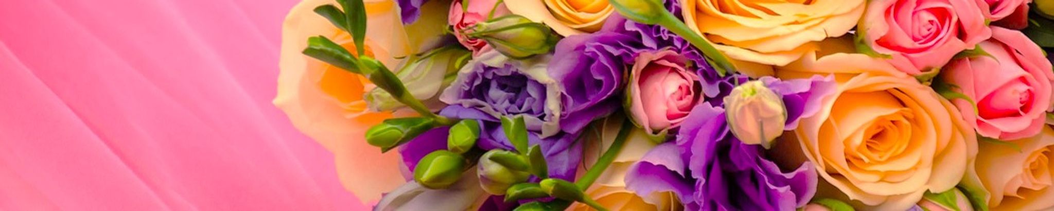 Cover photo for Rose Taylor's Obituary