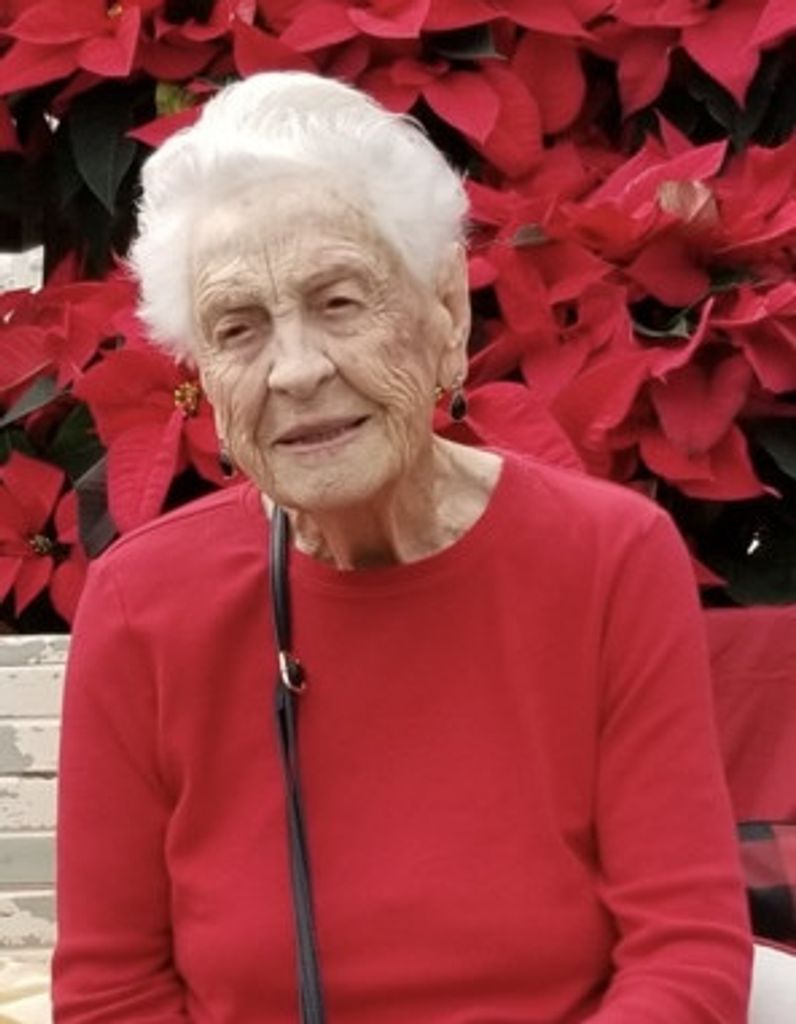 Elizabeth Ann (Abington)  Smith