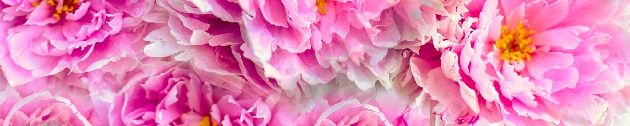 Cover photo for Marilyn Ley's Obituary
