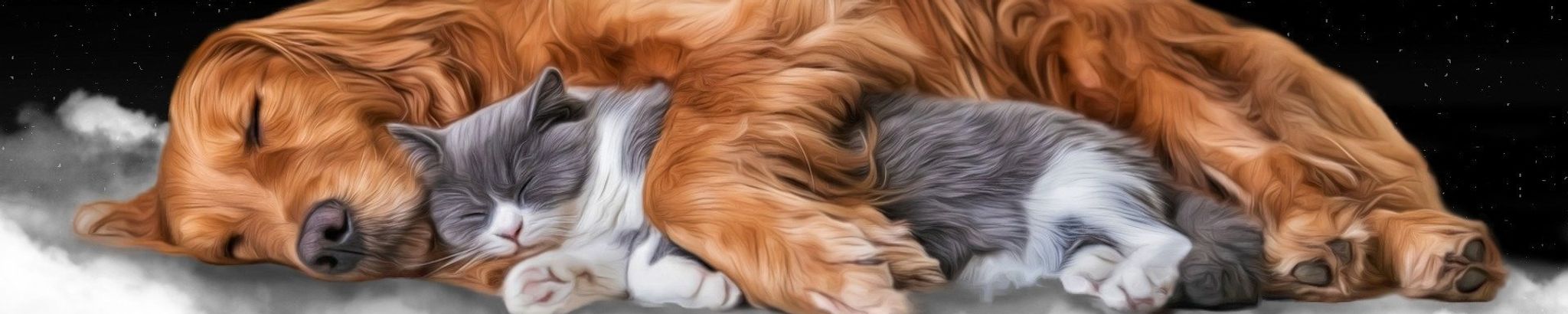 Cover for Christine Jo Redmond's Obituary