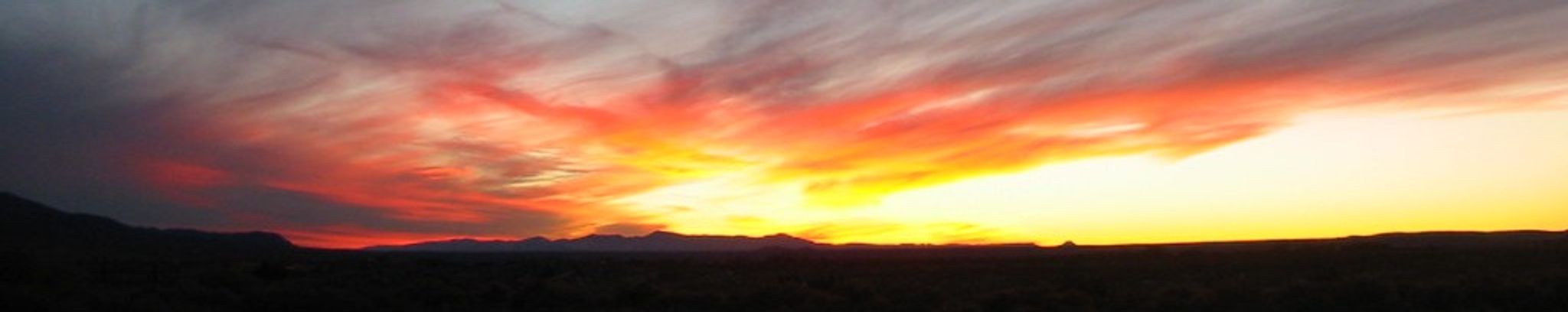 Cover photo for Dolores Grace Ara's Obituary