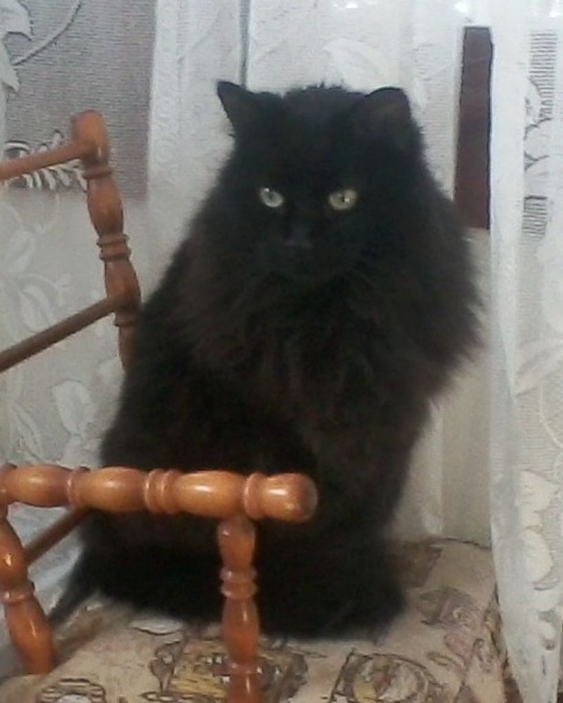 Bella Profile Photo