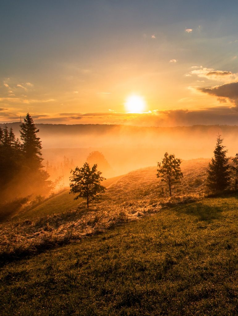 Paul Edward Bailey Profile Photo